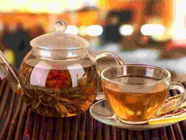 Vestibulum pellentesque metus